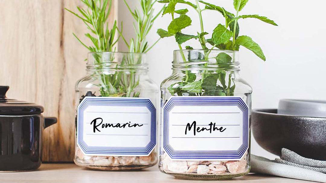 Faites pousser vos propres herbes dans un pot de Materne vide