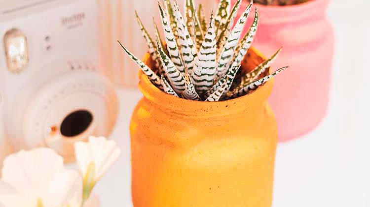 Donnez une seconde vie à vos pots de confiture Récolte !