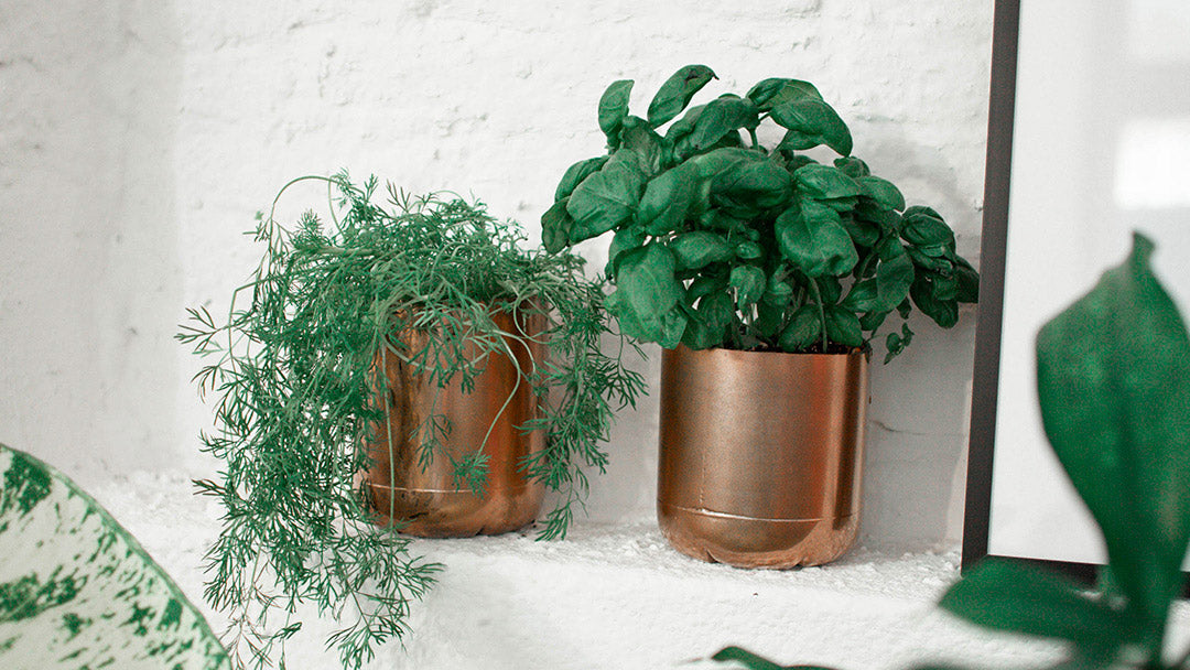 Jolis pots de fleurs