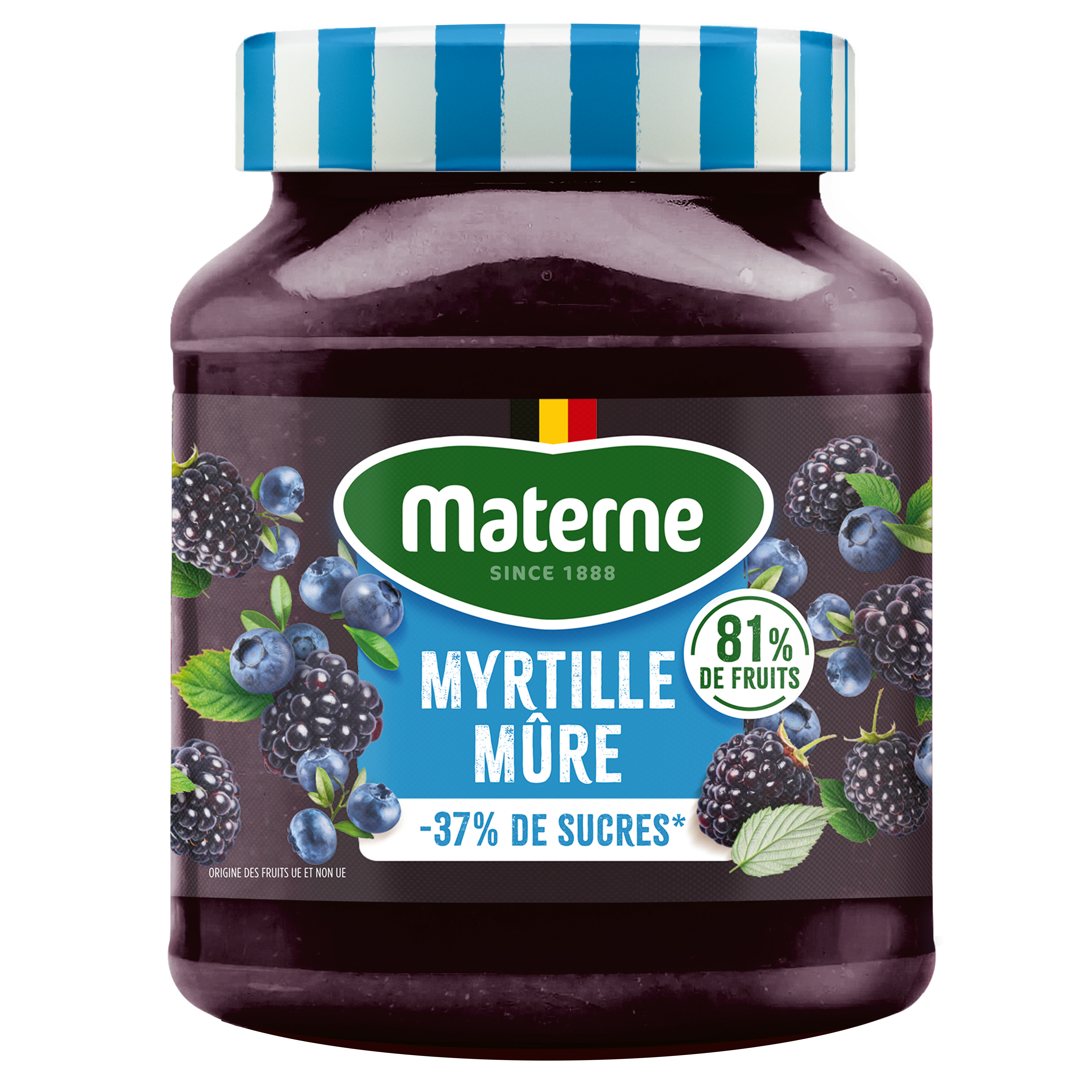 Fruits à tartiner Materne<br>Myrtille-Mûre