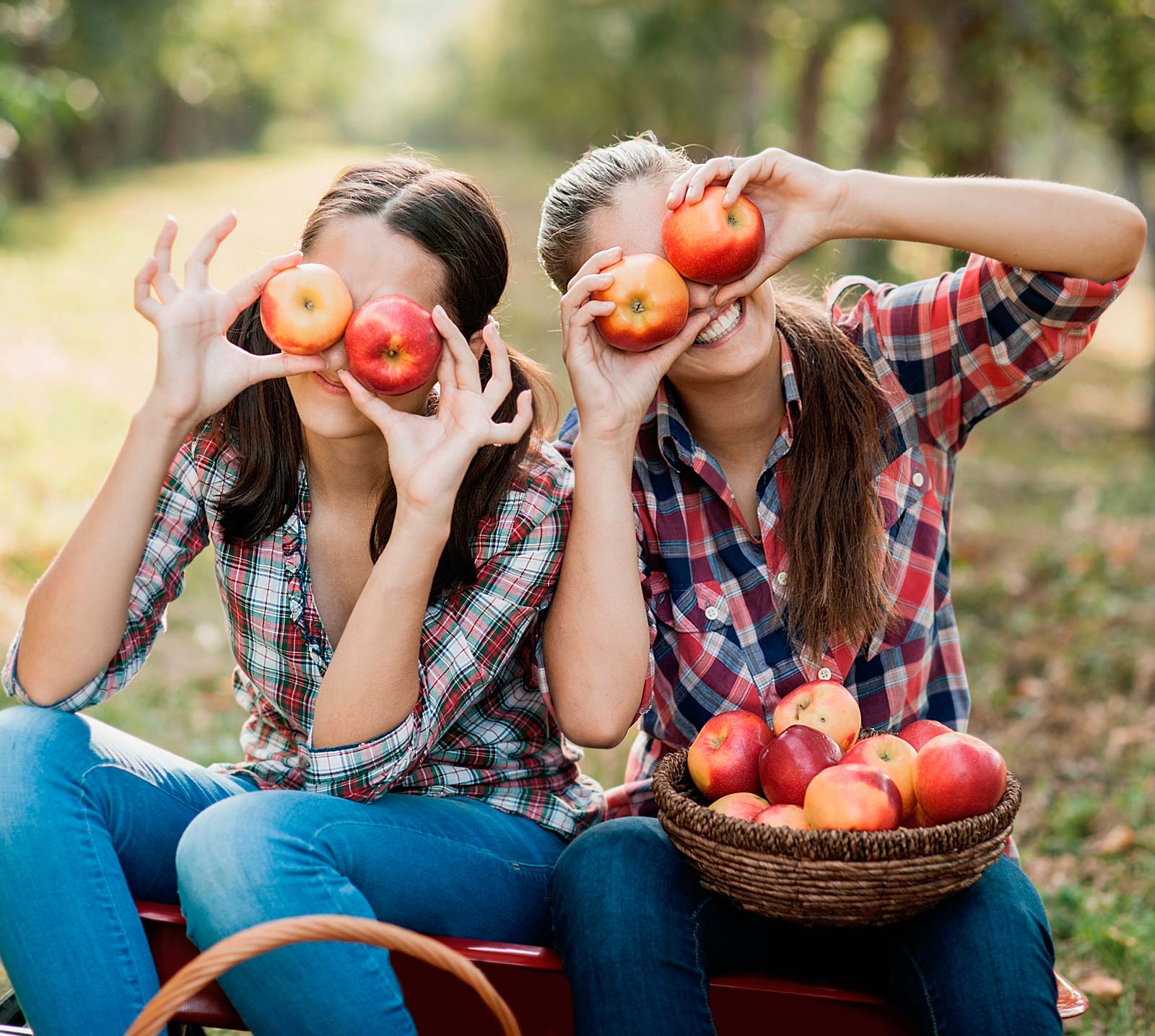 deux filles et un panier de pommes 