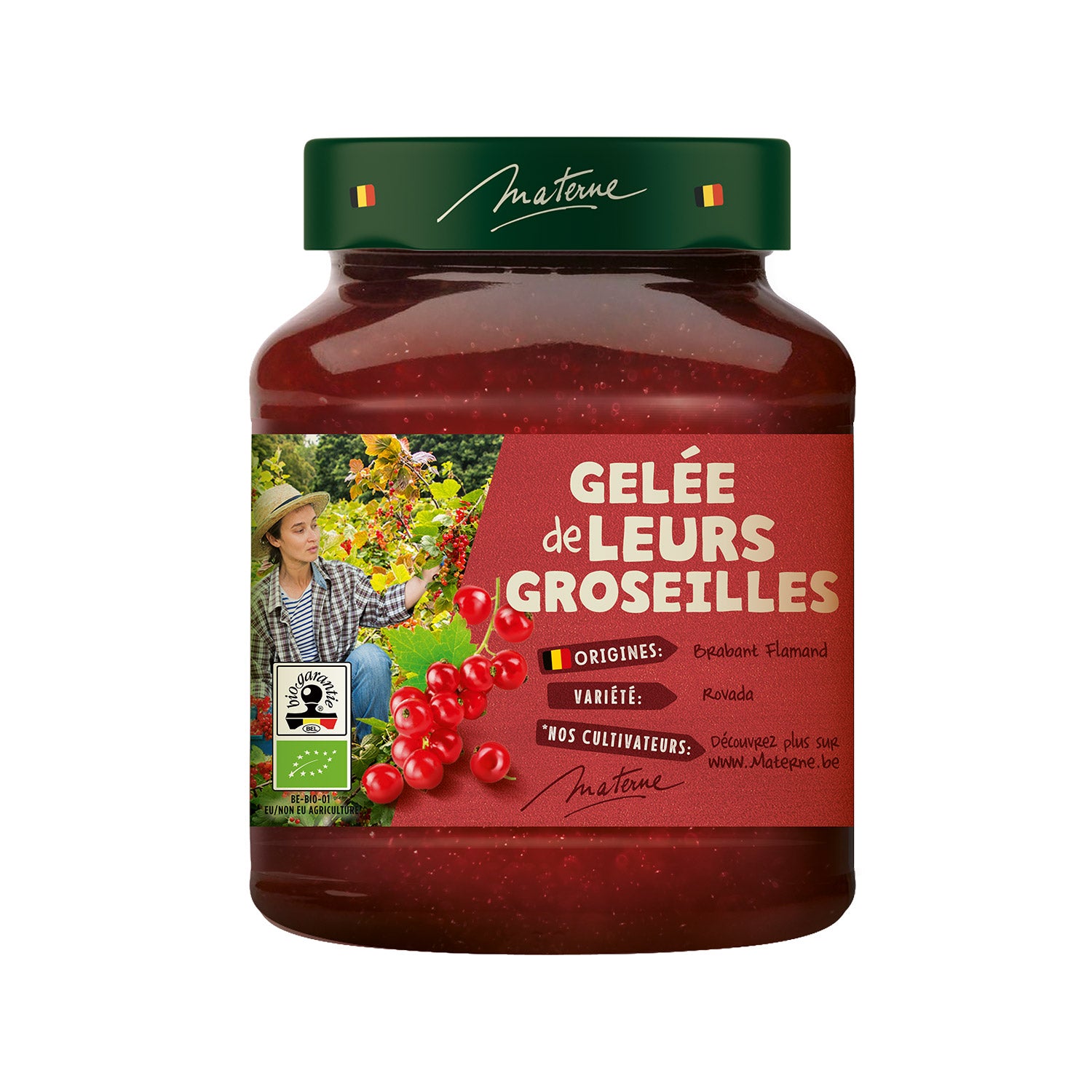 Gelée de leurs fruits<br>Groseilles Rouges