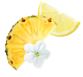 fruits-ananas-citron