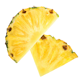 fruit tranche ananas