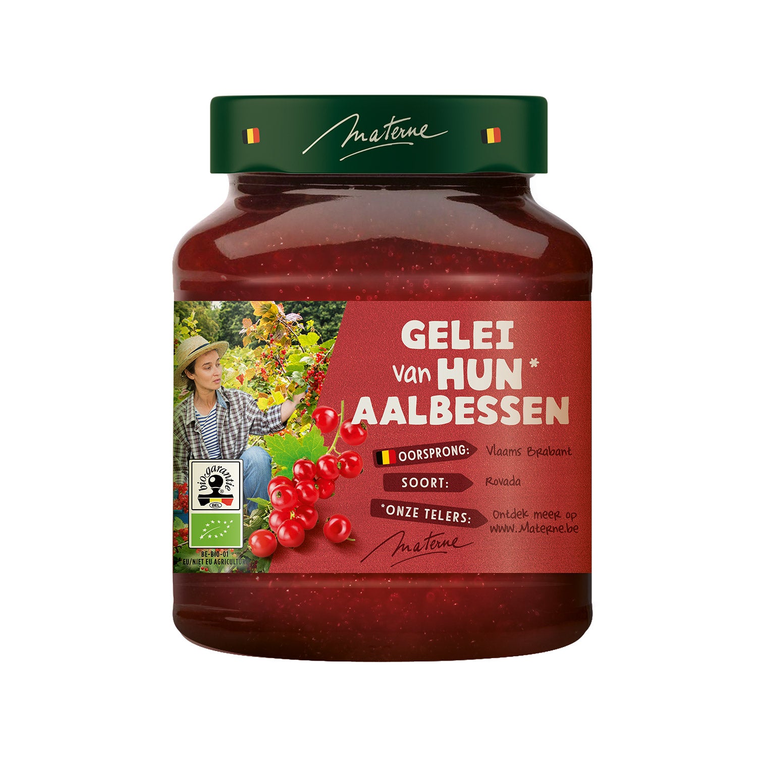 Gelei van hun vruchten<br>Aalbessen