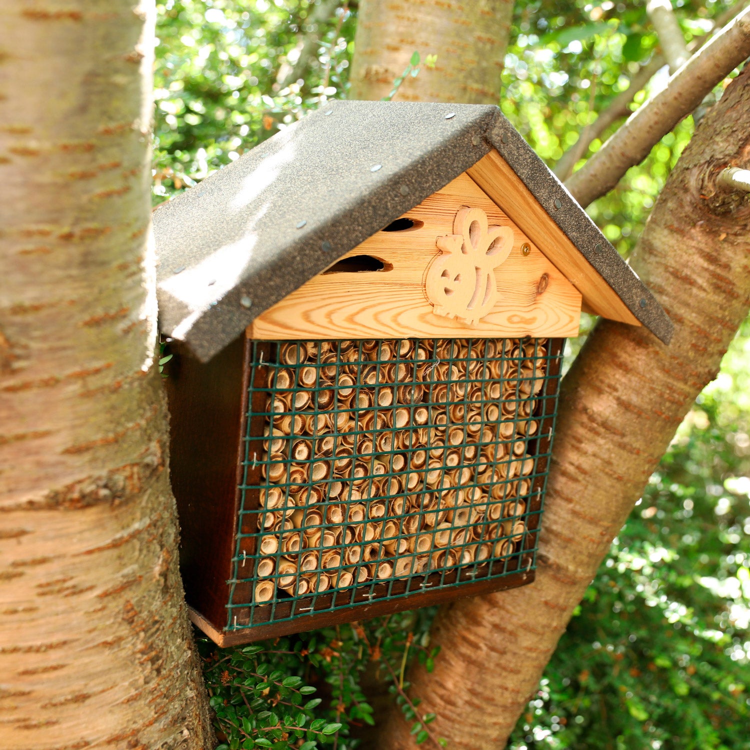 Hotel à insectes - maison